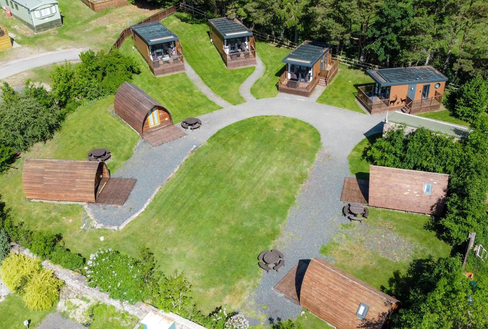 Pods among trees from above