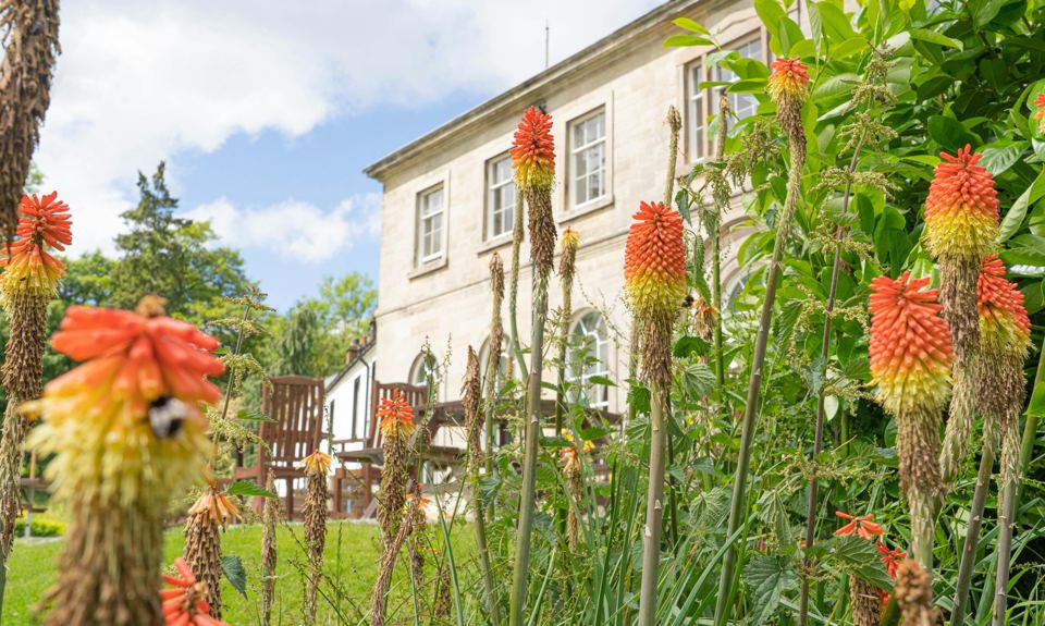 Hall with red flowers in the garden