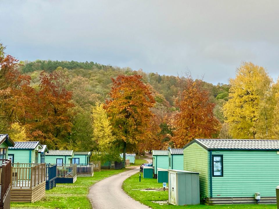 Lodges along a path in autumn