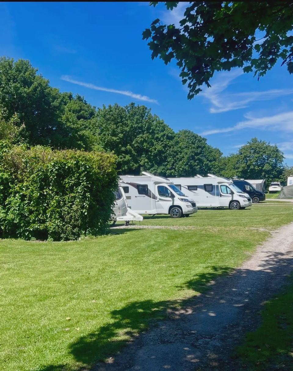 Motorhomes on the grass pitches