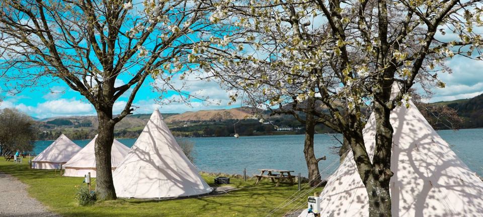 Tipis beside the lake under blossom