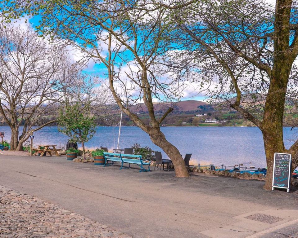 Lakeside path under the trees