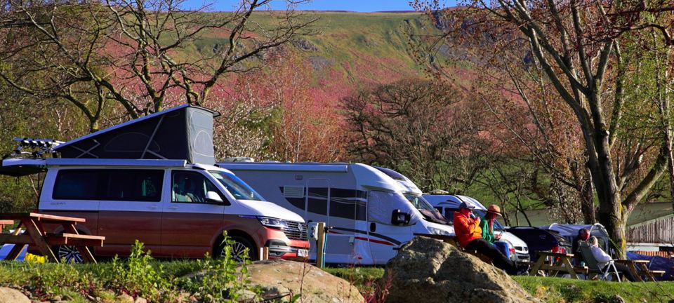Motorhomes on the pitches under the trees