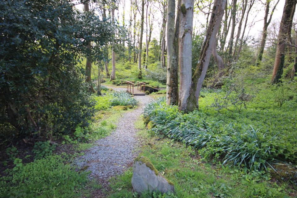 Woodland path on site