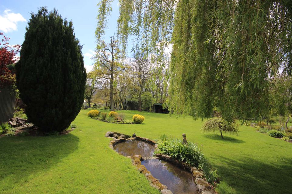 Garden stream and lawn