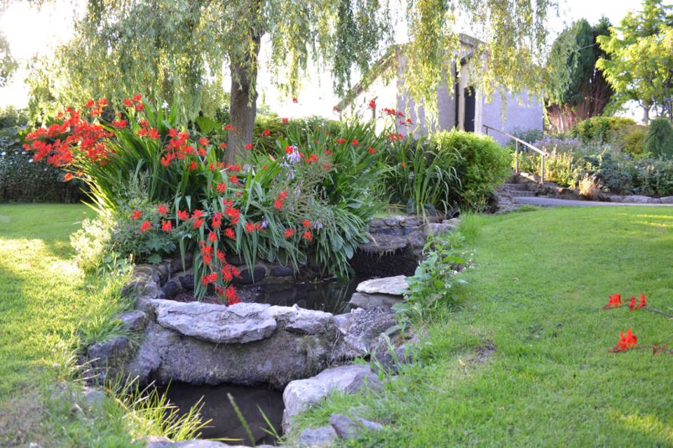 Flower beds by the pond