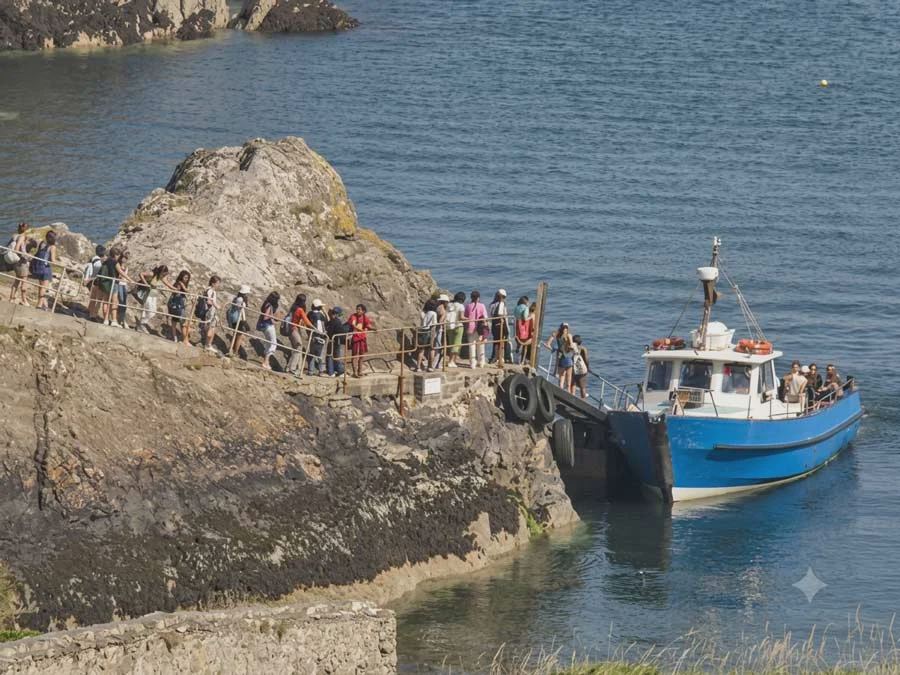 Skomer boat at Martin's Haven