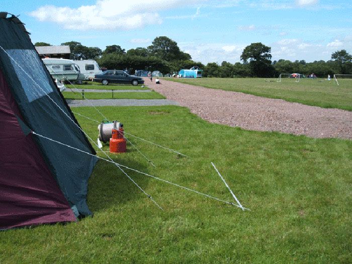 Tent pitch on the grass