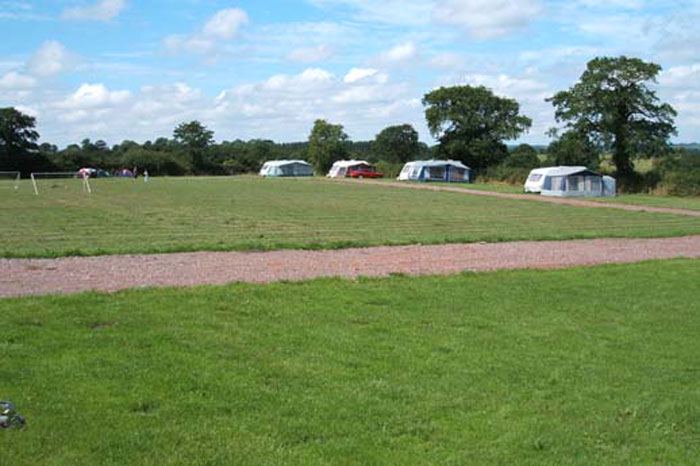 Caravans on the pitches under trees