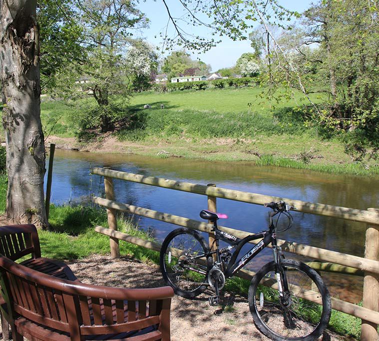 River Teme bank with bench
