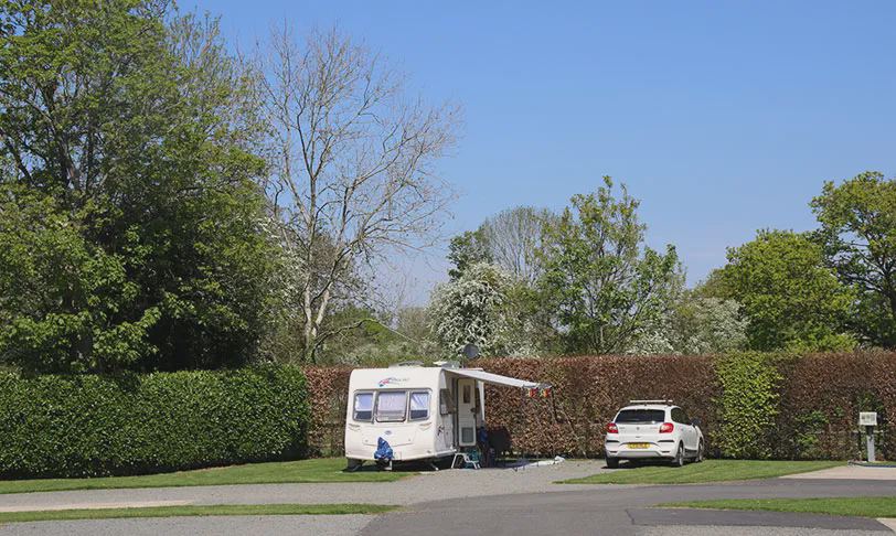 Touring pitch beside hedge