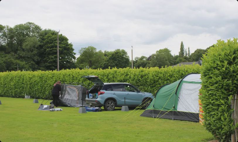 Tent pitching on grass