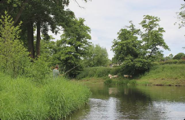 Fishing on the river