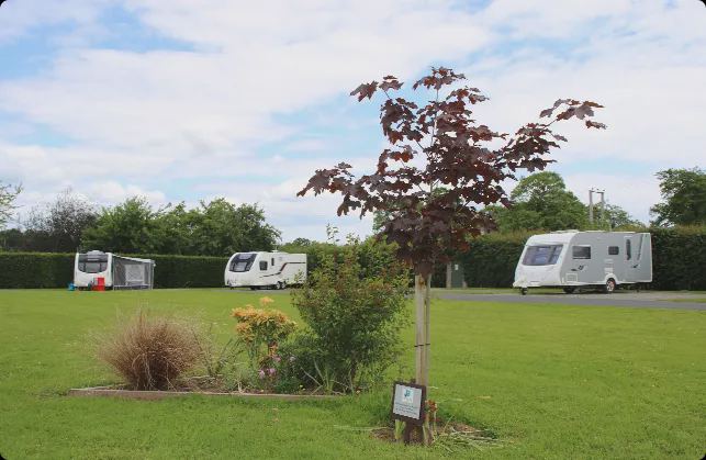 Grass and hardstanding pitches