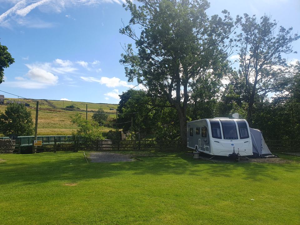 Touring caravan under a tree