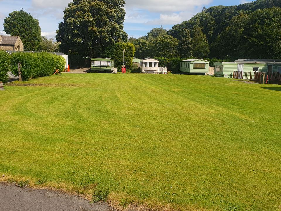 Lawn and caravans