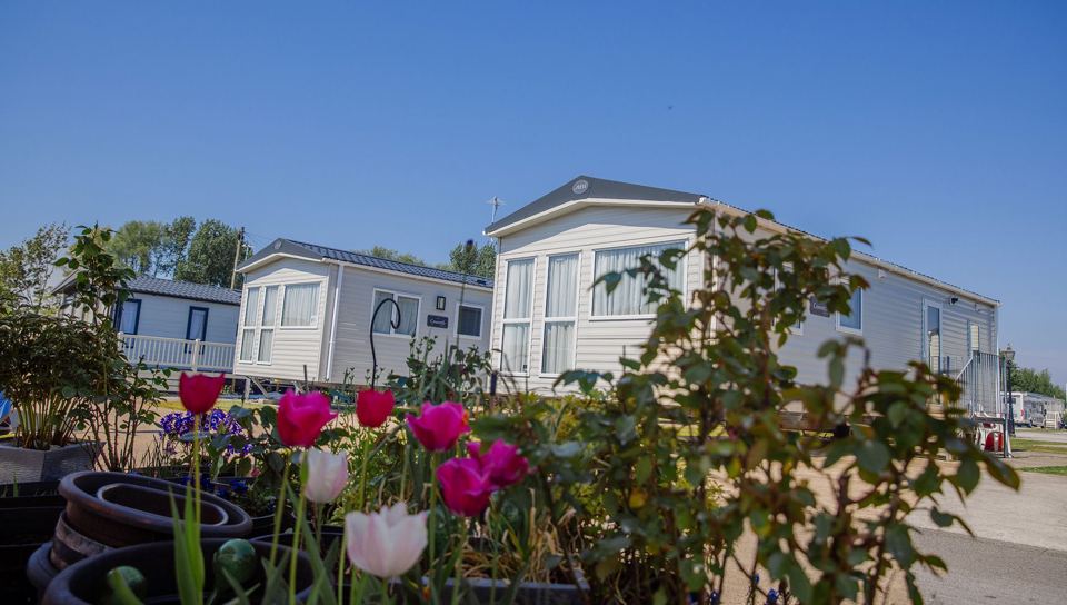 Holiday homes among flowers