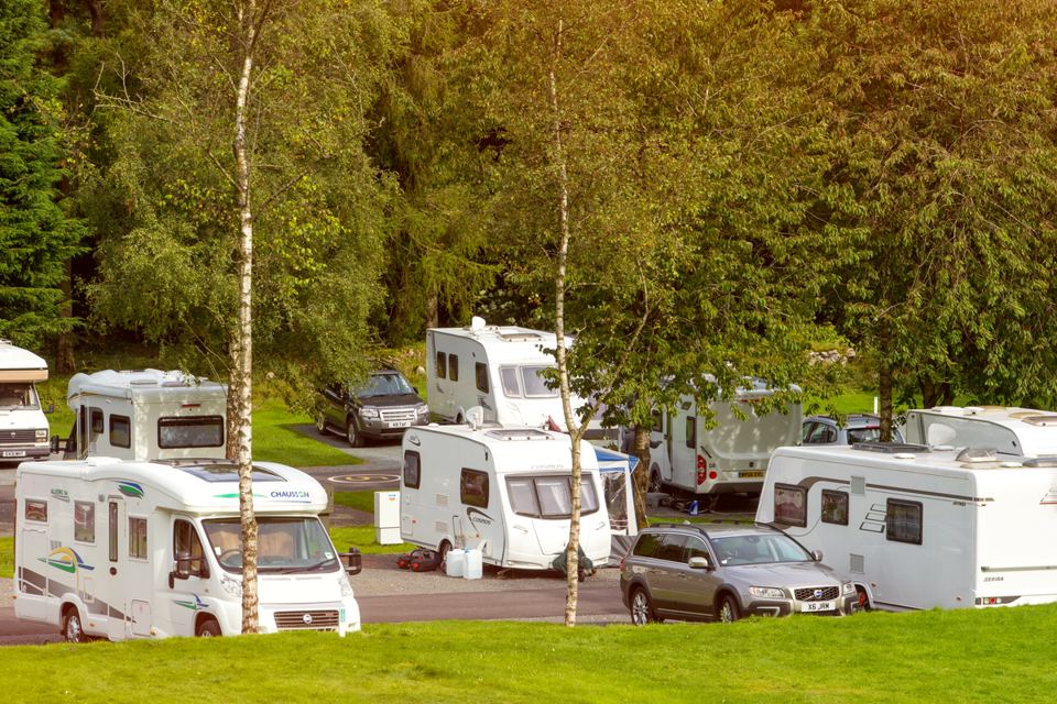 Motorhomes among birch trees