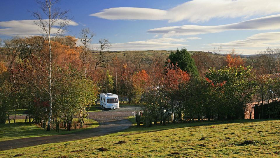 Pitches among autumn trees