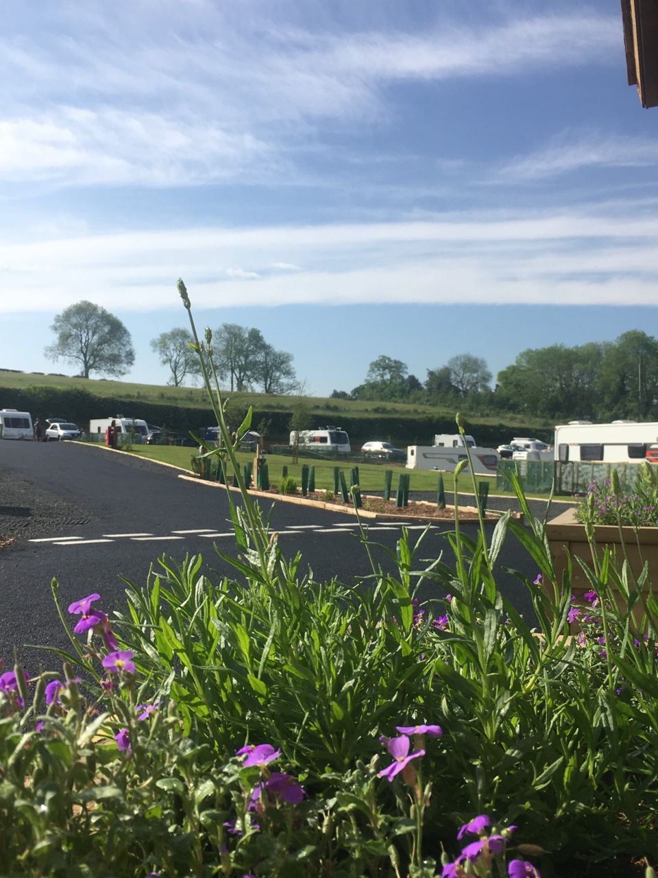 Pitches beside the park road