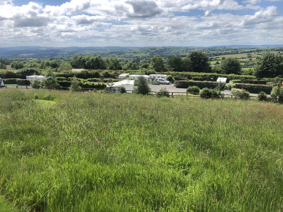 Meadow looking over the park