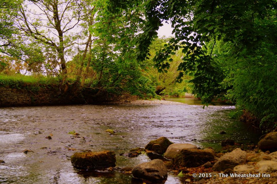 River beside the pitches