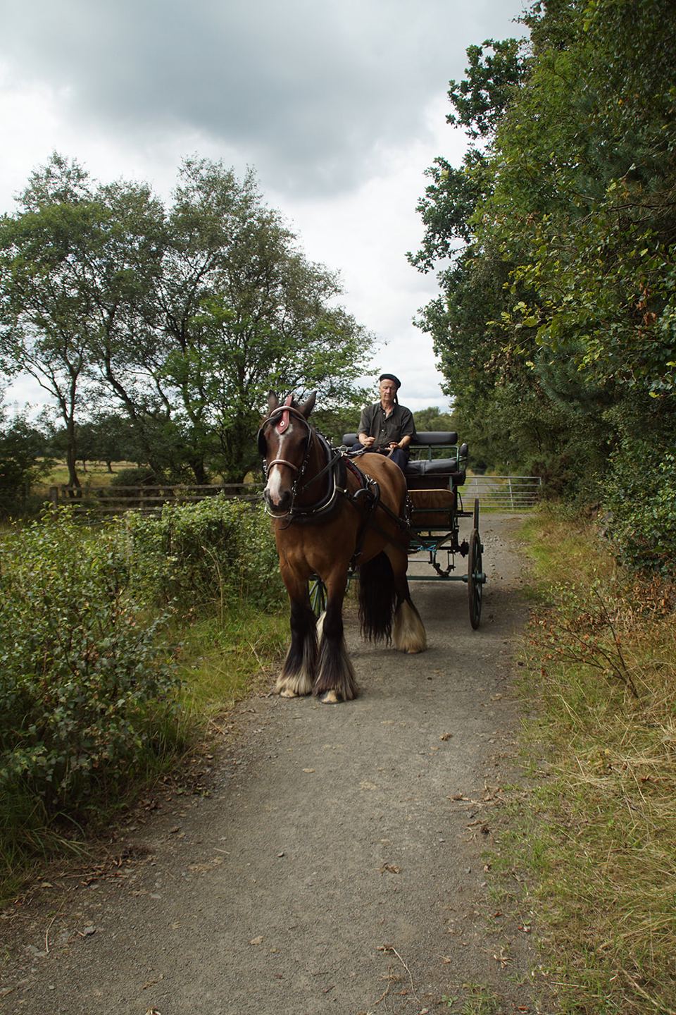 Carriage on the farm track