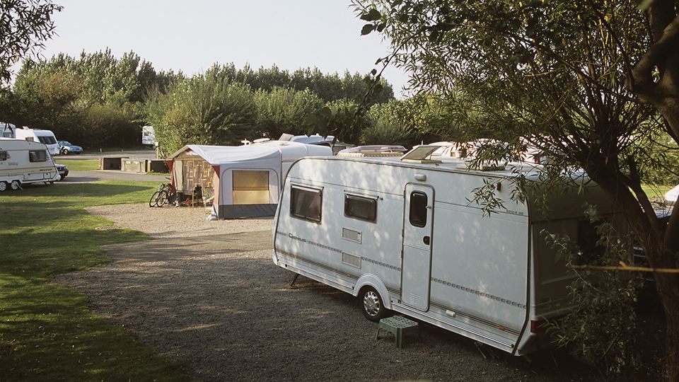 Caravan and awning under willows