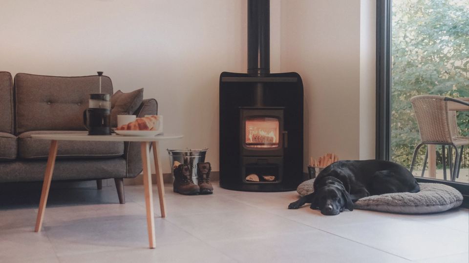 Dog by the woodburner
