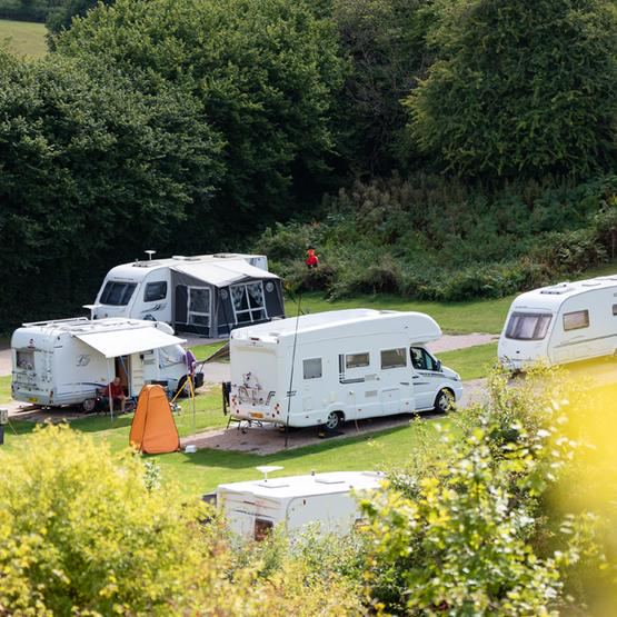 Caravans and motorhomes among the trees