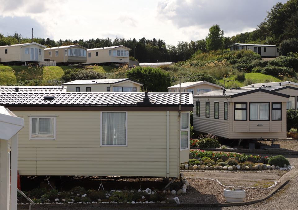 Caravans among the planting