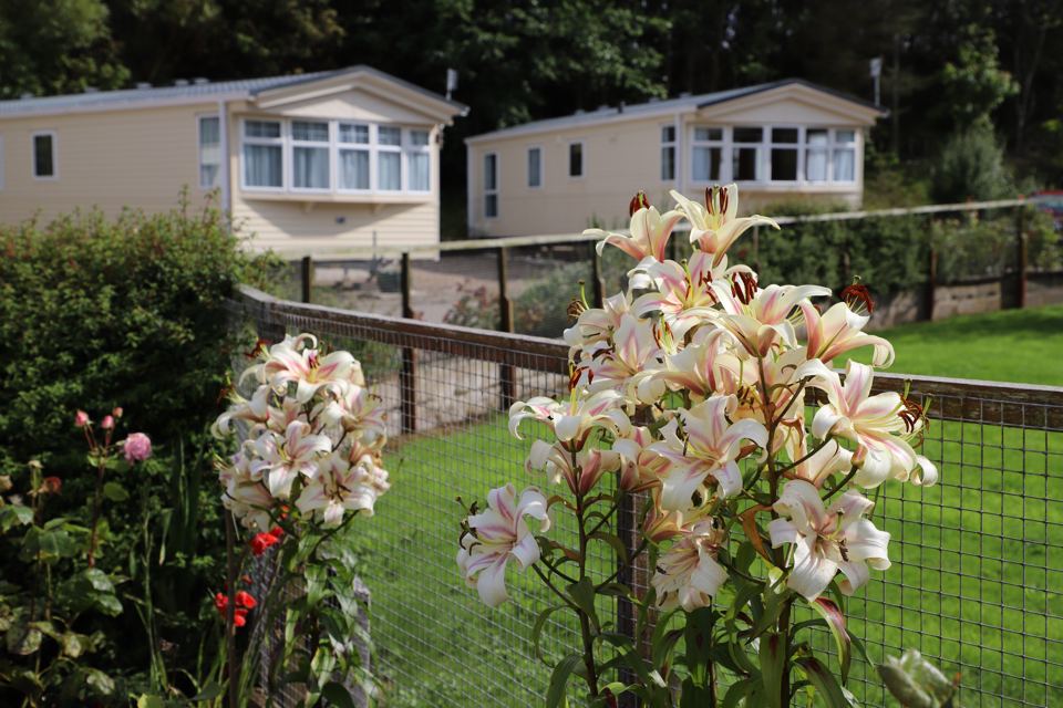 Caravans behind flower borders