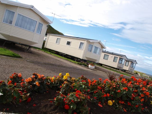 Caravans beside flower beds