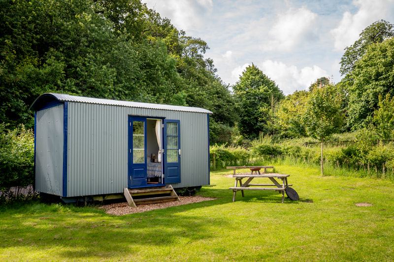 Shepherd's hut in the grass