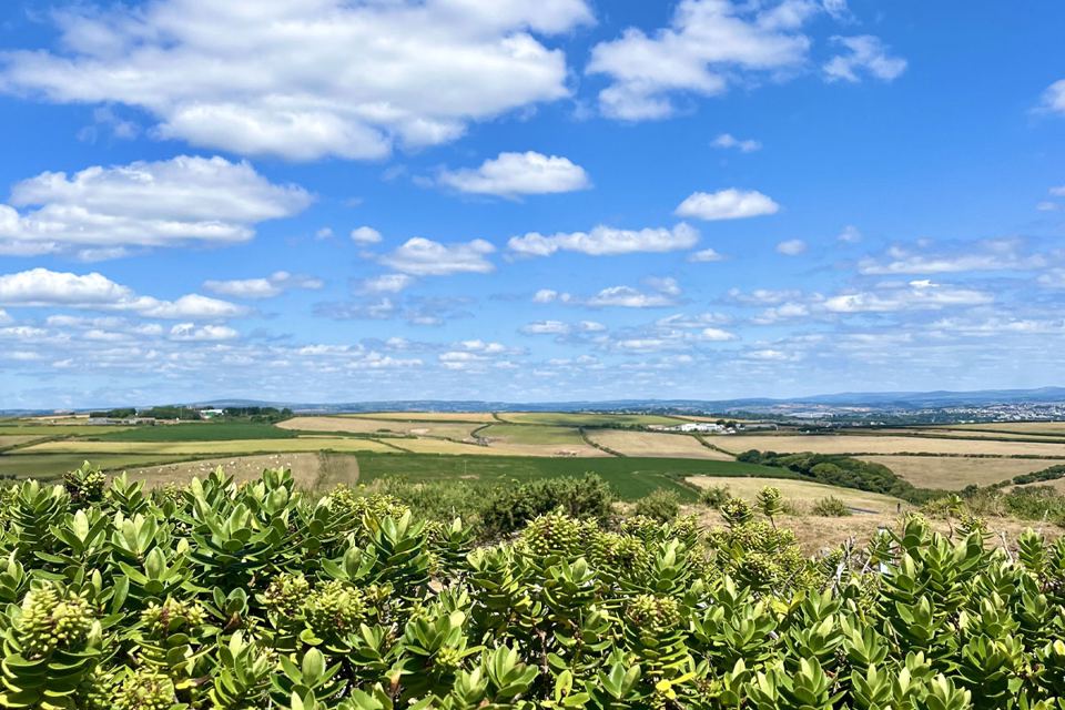 Fields from the clifftop