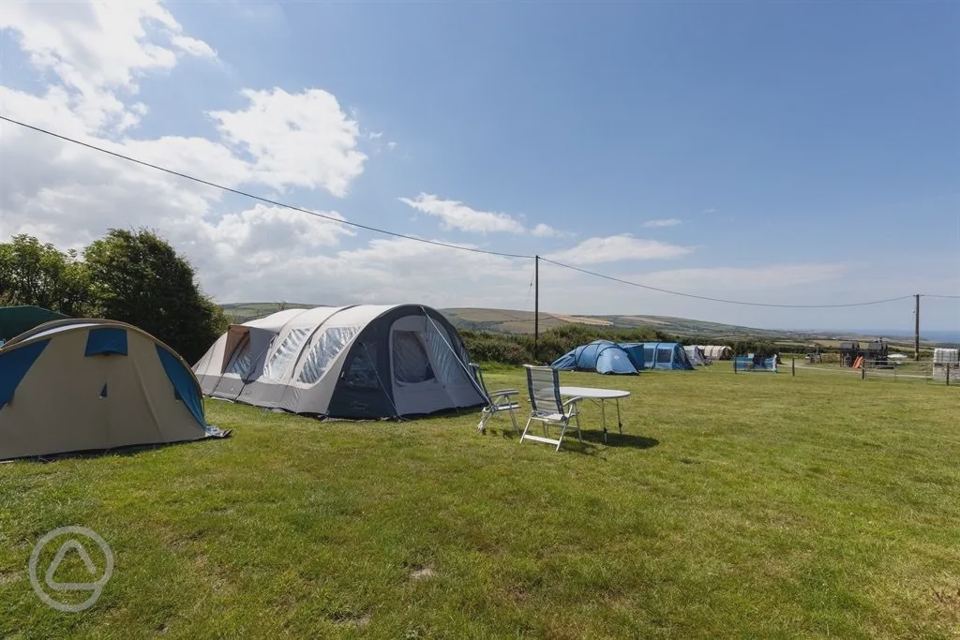Tents on the grass