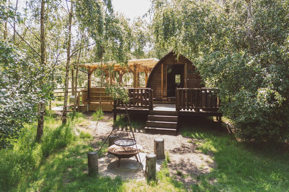 Cabin deck and fire pit among trees