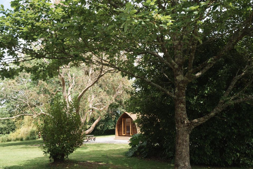 Pod tucked among the trees