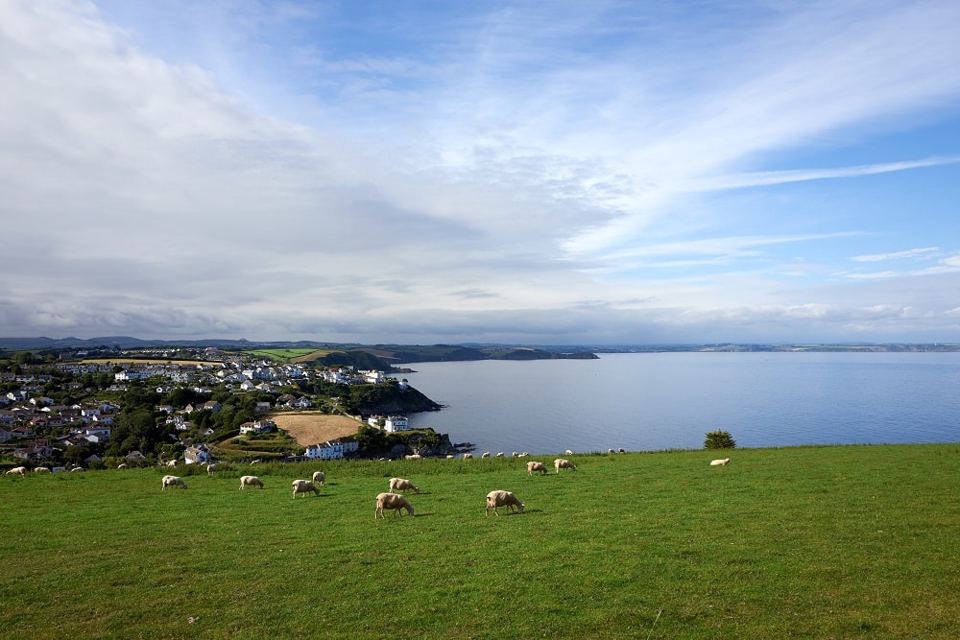 Sea and town from the grass field