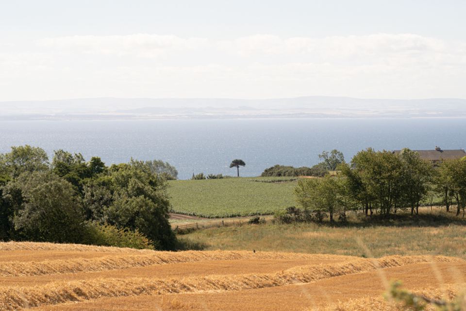 Fields to the Firth of Forth