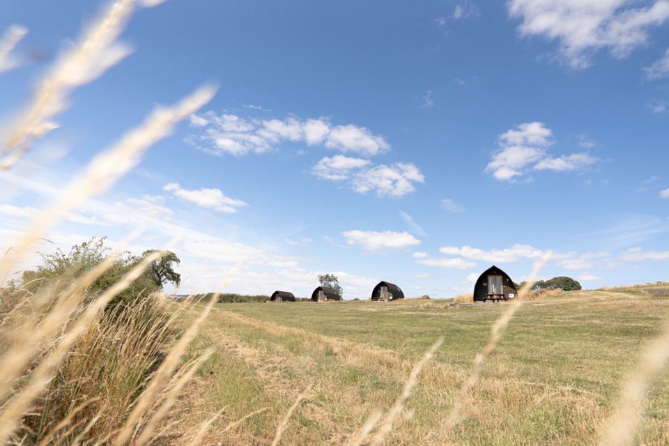 Cabins across the farm field