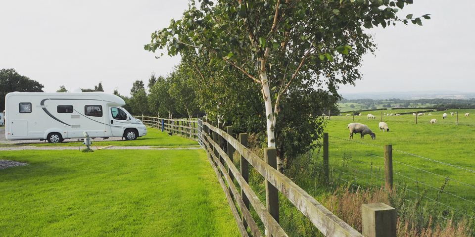 Motorhome with sheep in the field