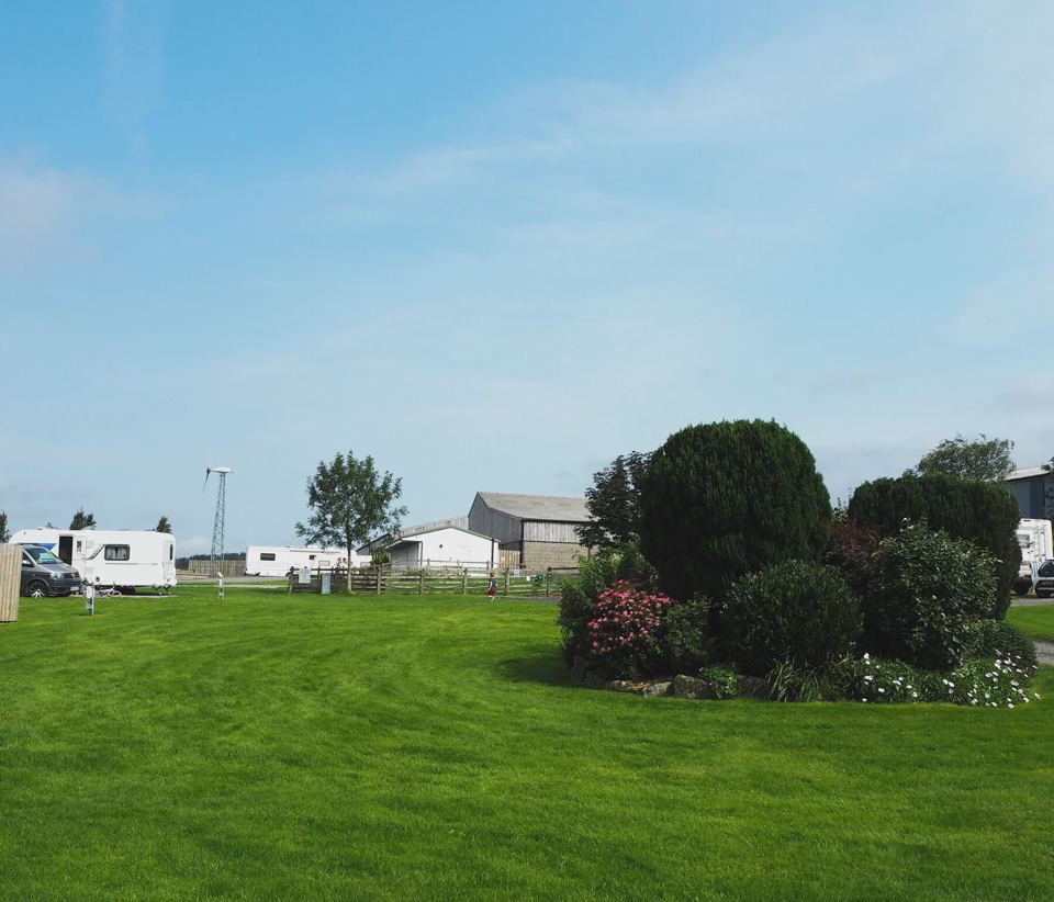 Lawn and pitches across the site
