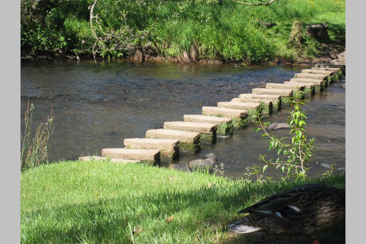 Stepping stones across the river