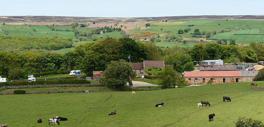 Farm and fields from above