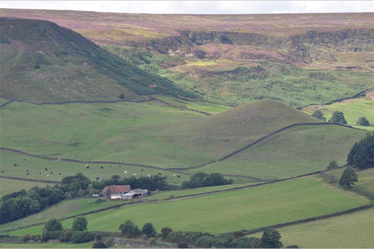 Fields below the heather moor