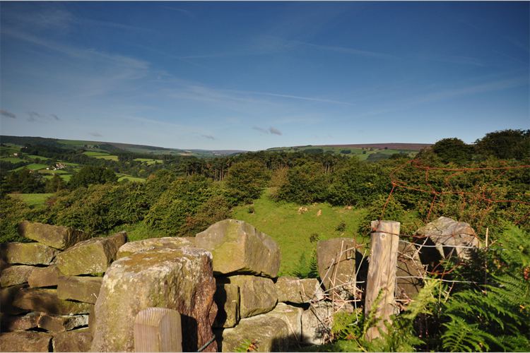 Moorland walk near the farm