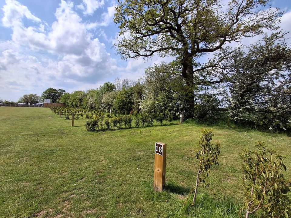 Numbered pitches with hedging