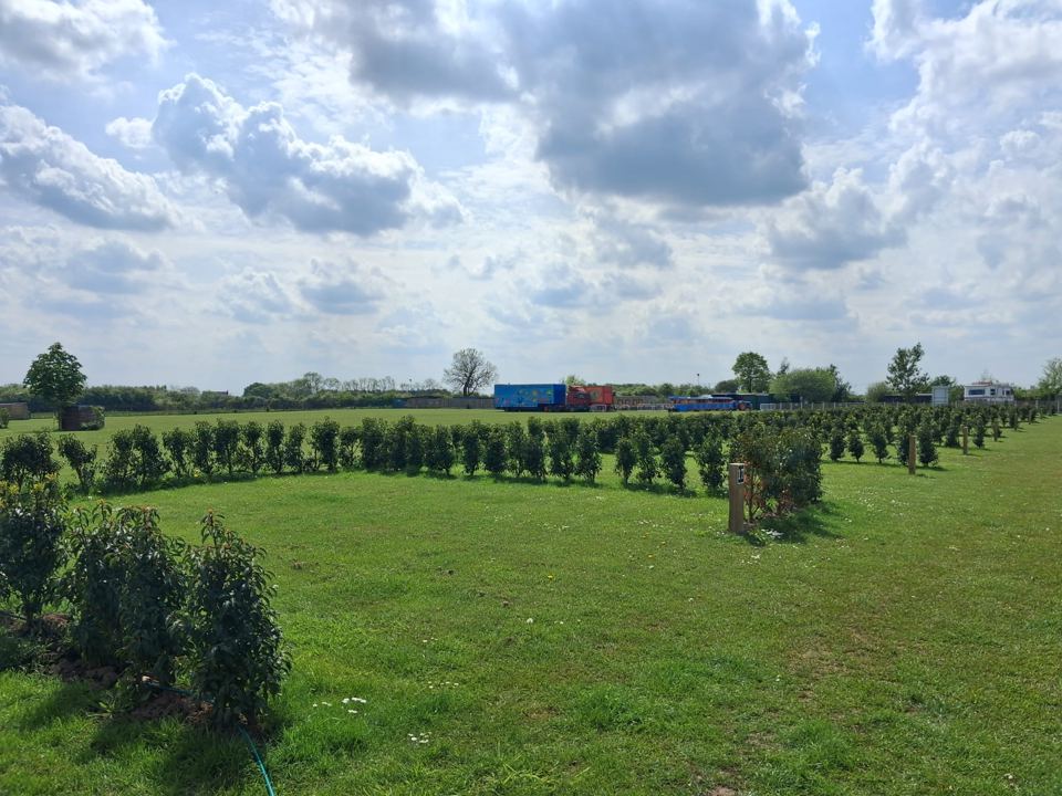 Pitches divided by hedges