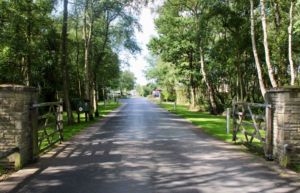 Tree-lined drive into the park